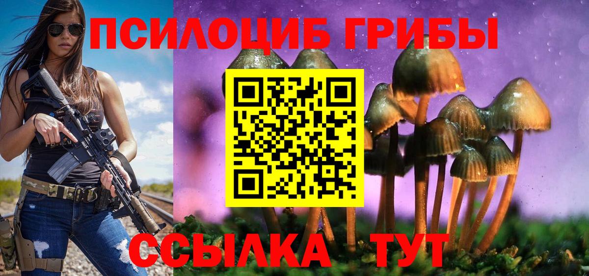 Псилоцибиновые грибы Psilocybine cubensis  Псилоцибиновые грибы мухоморы  Надым  Вход с VPN 