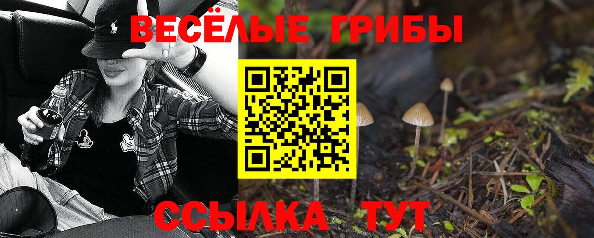 Галлюциногенные грибы MAGIC MUSHROOMS Надым